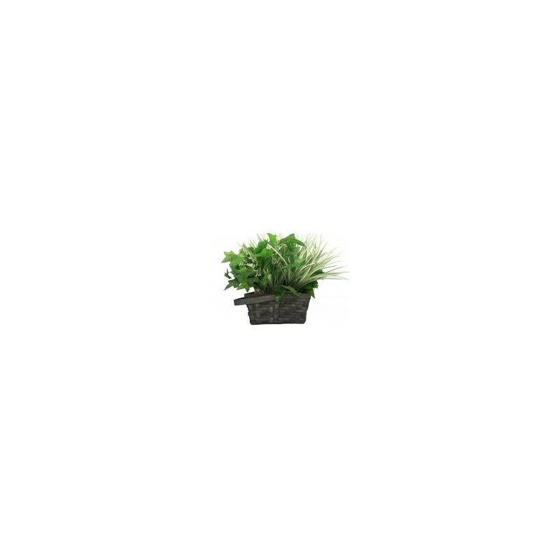 Hidden Camera Plant by SG Home™